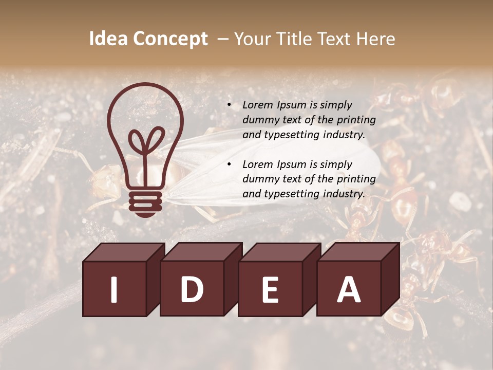 Close To Mould Detail PowerPoint Template