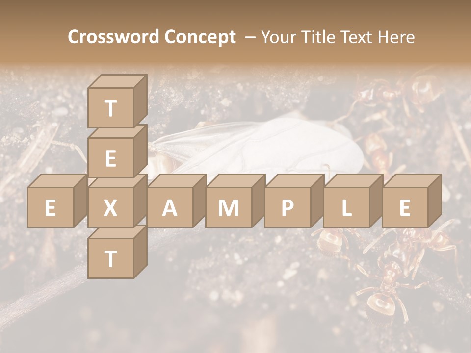 Close To Mould Detail PowerPoint Template