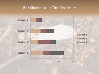 Close To Mould Detail PowerPoint Template