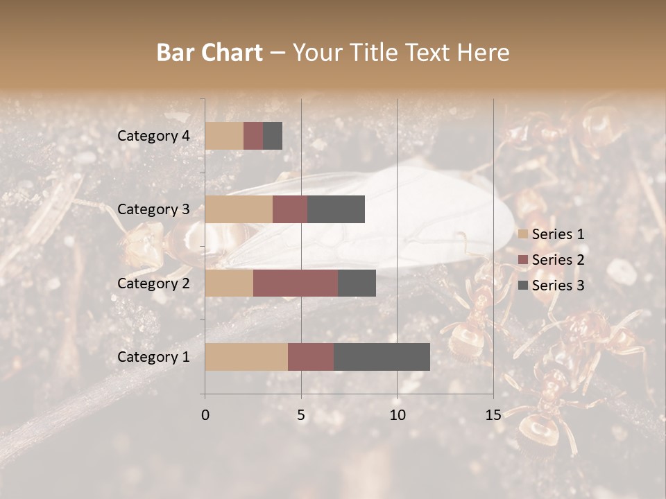 Close To Mould Detail PowerPoint Template