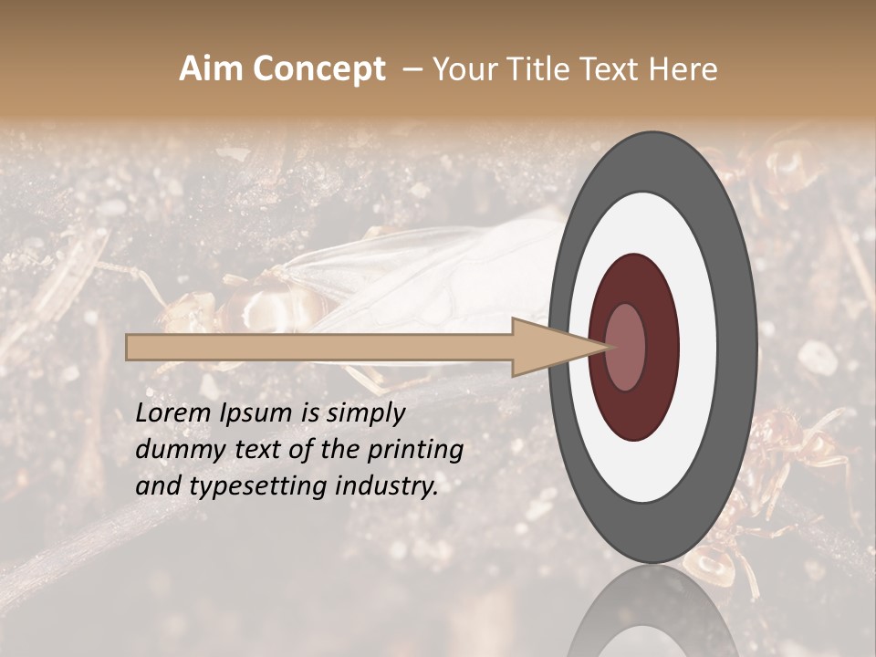 Close To Mould Detail PowerPoint Template
