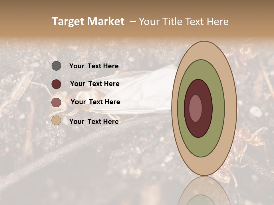 Close To Mould Detail PowerPoint Template