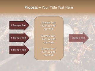 Close To Mould Detail PowerPoint Template