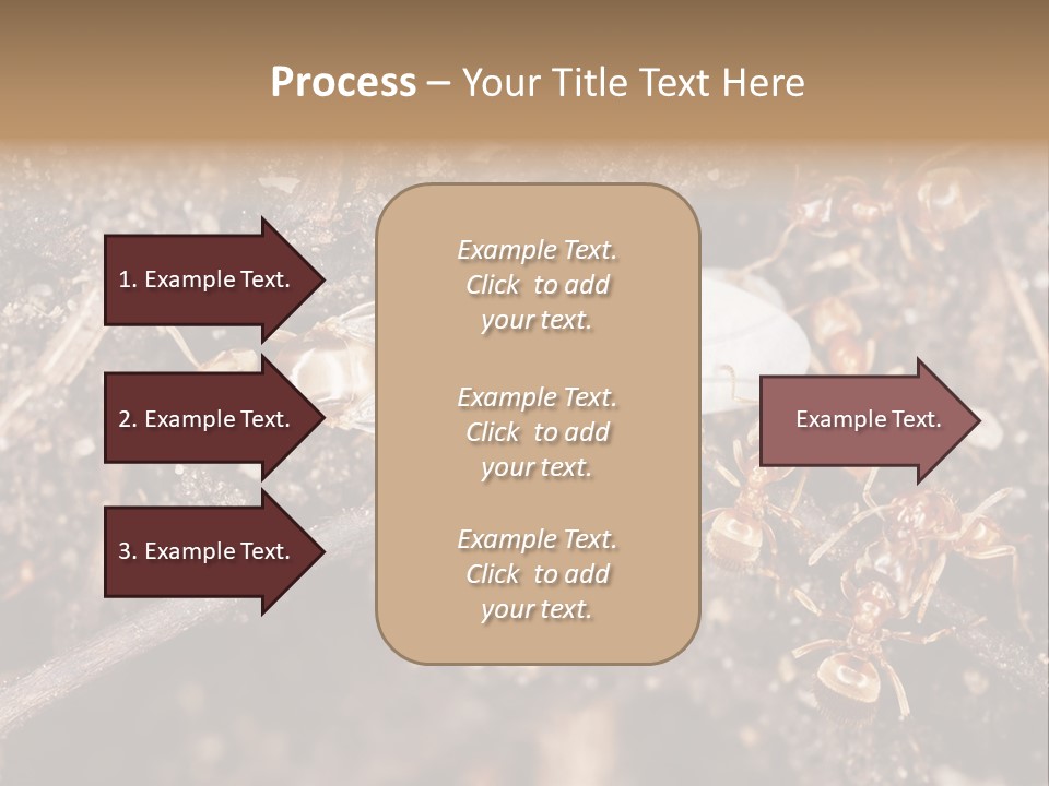 Close To Mould Detail PowerPoint Template