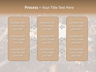 Close To Mould Detail PowerPoint Template
