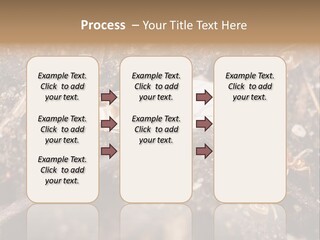 Close To Mould Detail PowerPoint Template