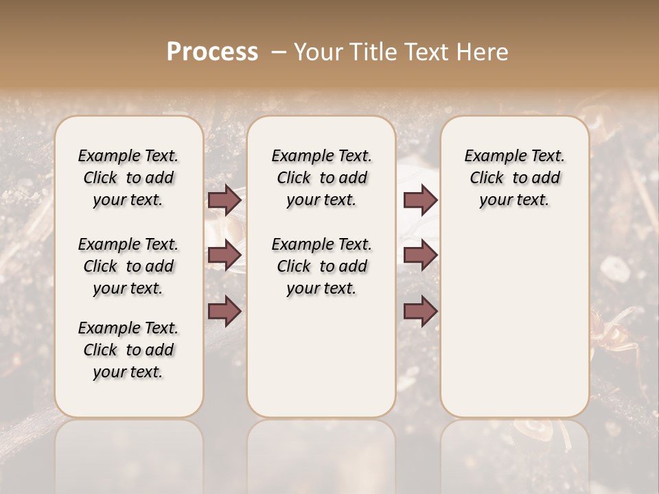 Close To Mould Detail PowerPoint Template