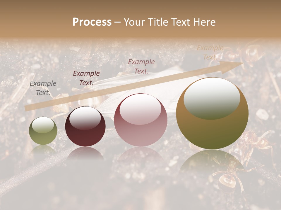 Close To Mould Detail PowerPoint Template