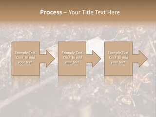 Close To Mould Detail PowerPoint Template
