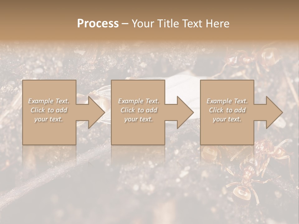 Close To Mould Detail PowerPoint Template