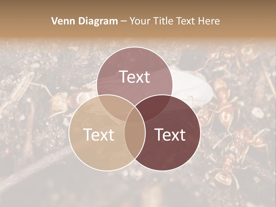 Close To Mould Detail PowerPoint Template