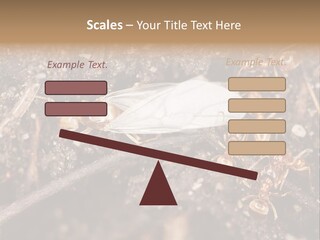 Close To Mould Detail PowerPoint Template