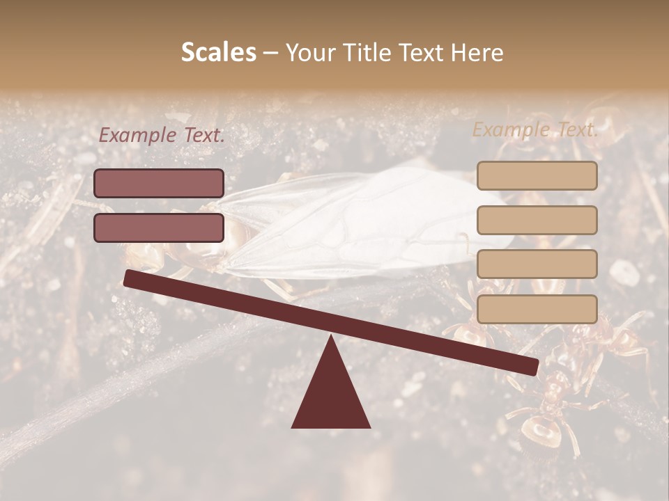Close To Mould Detail PowerPoint Template