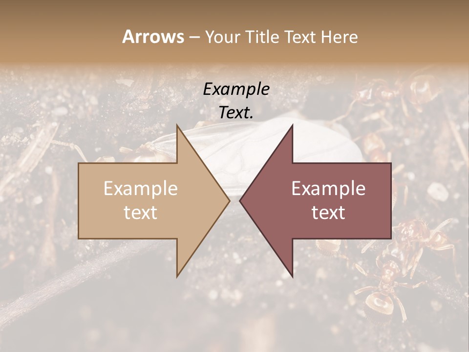 Close To Mould Detail PowerPoint Template