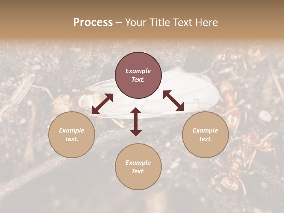 Close To Mould Detail PowerPoint Template