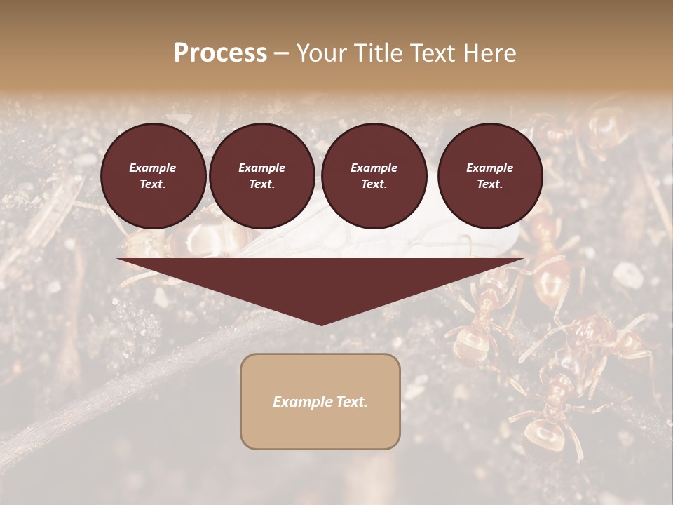 Close To Mould Detail PowerPoint Template