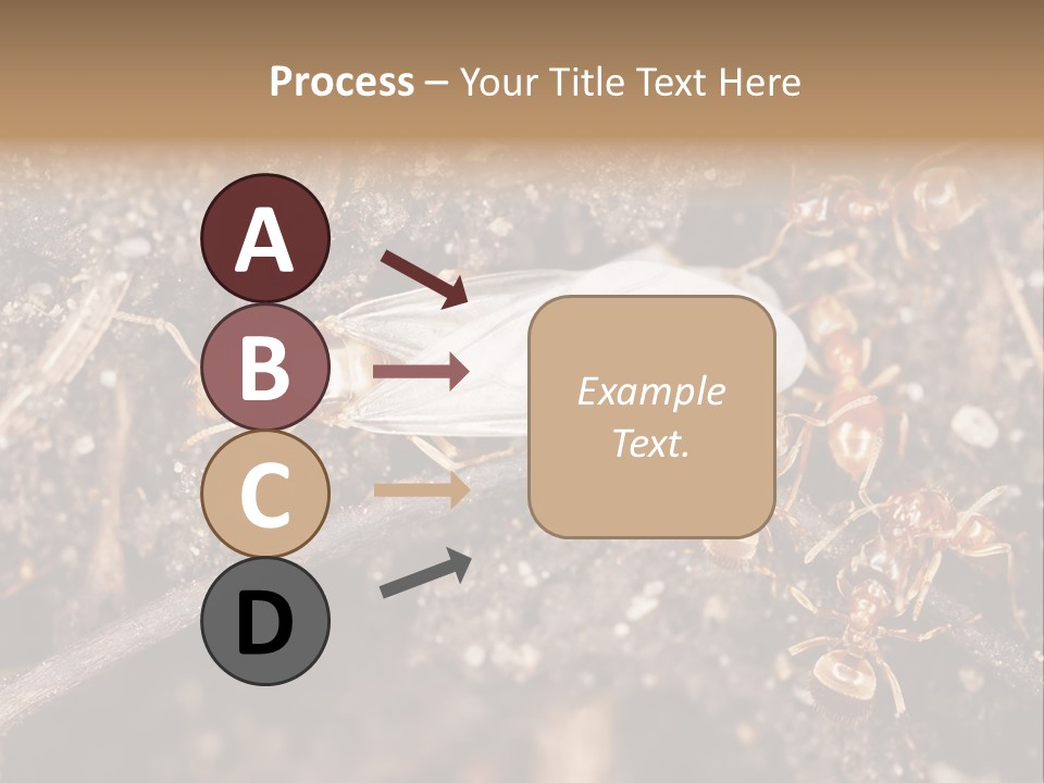 Close To Mould Detail PowerPoint Template