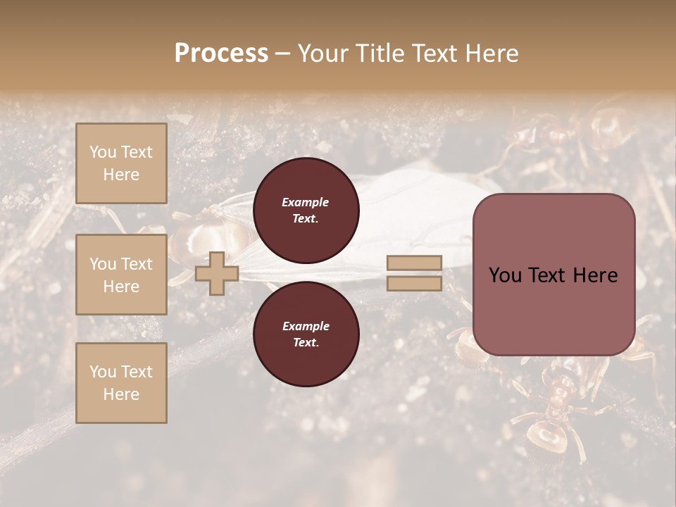 Close To Mould Detail PowerPoint Template