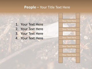 Close To Mould Detail PowerPoint Template