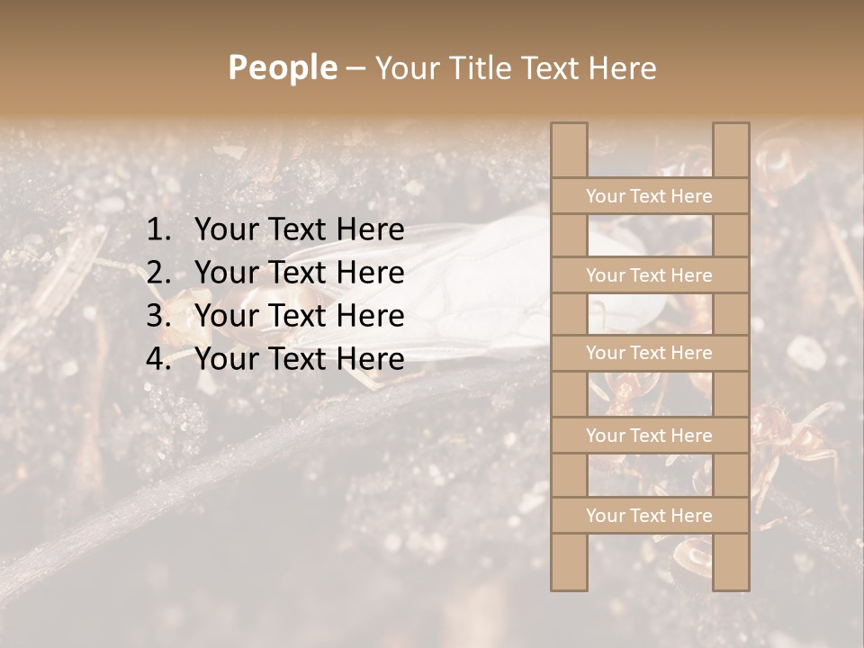 Close To Mould Detail PowerPoint Template