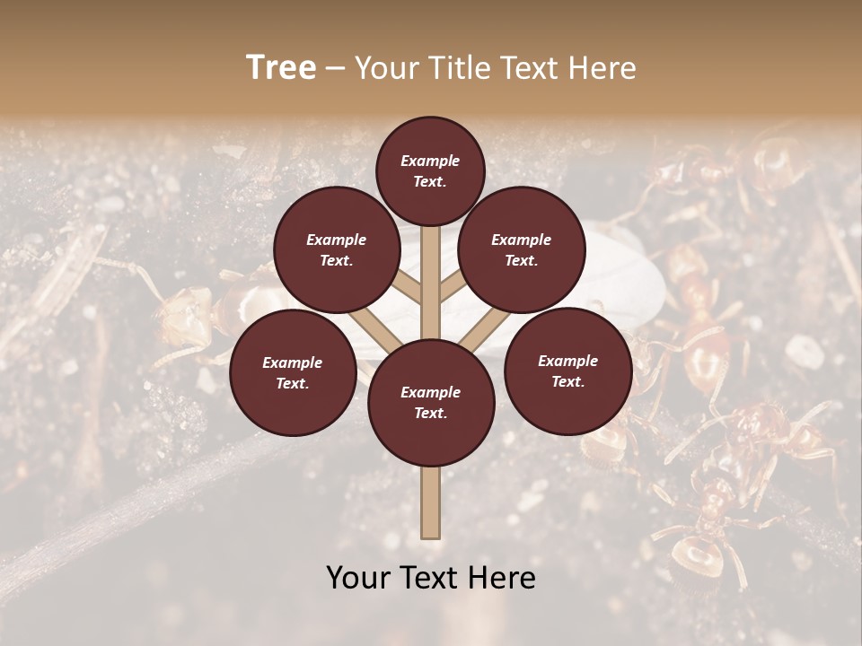 Close To Mould Detail PowerPoint Template