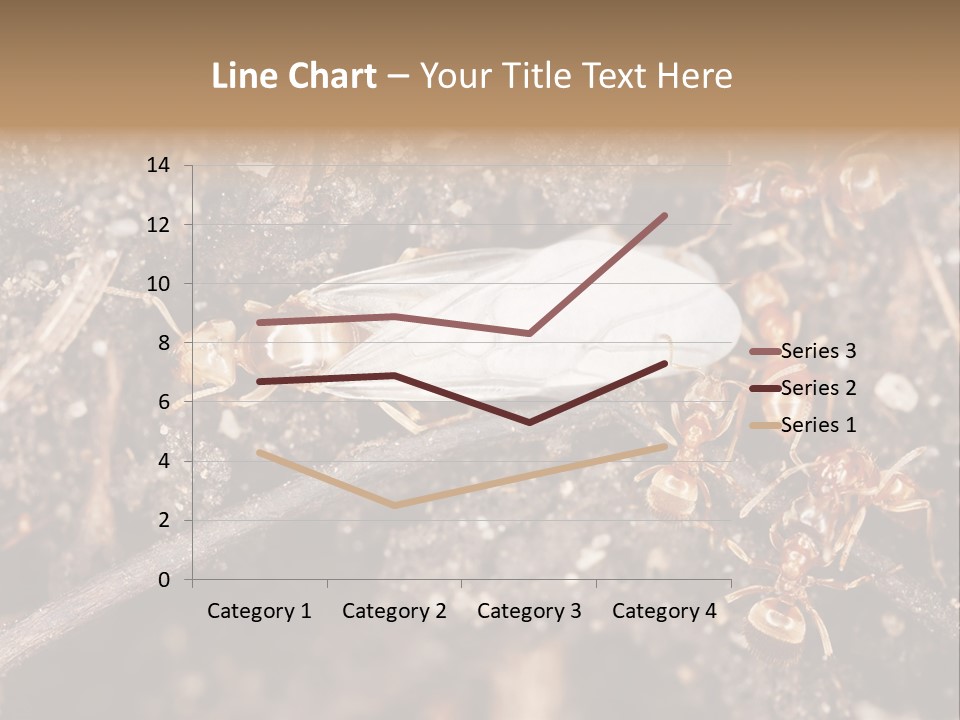 Close To Mould Detail PowerPoint Template