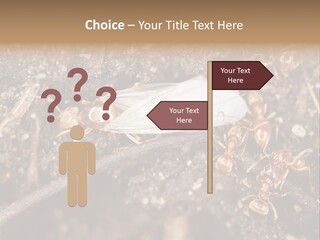 Close To Mould Detail PowerPoint Template