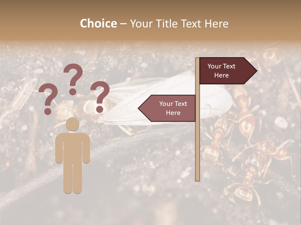 Close To Mould Detail PowerPoint Template