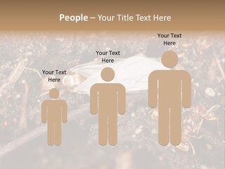 Close To Mould Detail PowerPoint Template