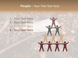 Close To Mould Detail PowerPoint Template