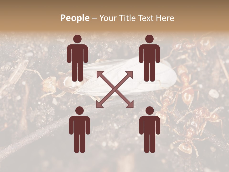 Close To Mould Detail PowerPoint Template