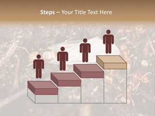 Close To Mould Detail PowerPoint Template