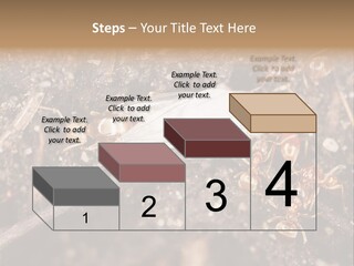 Close To Mould Detail PowerPoint Template