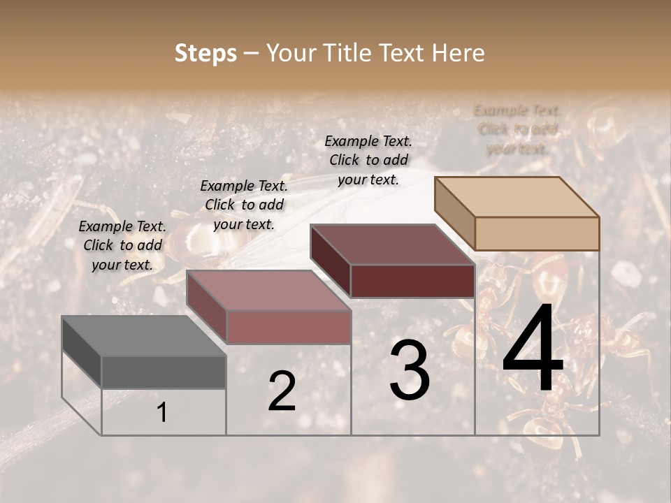 Close To Mould Detail PowerPoint Template