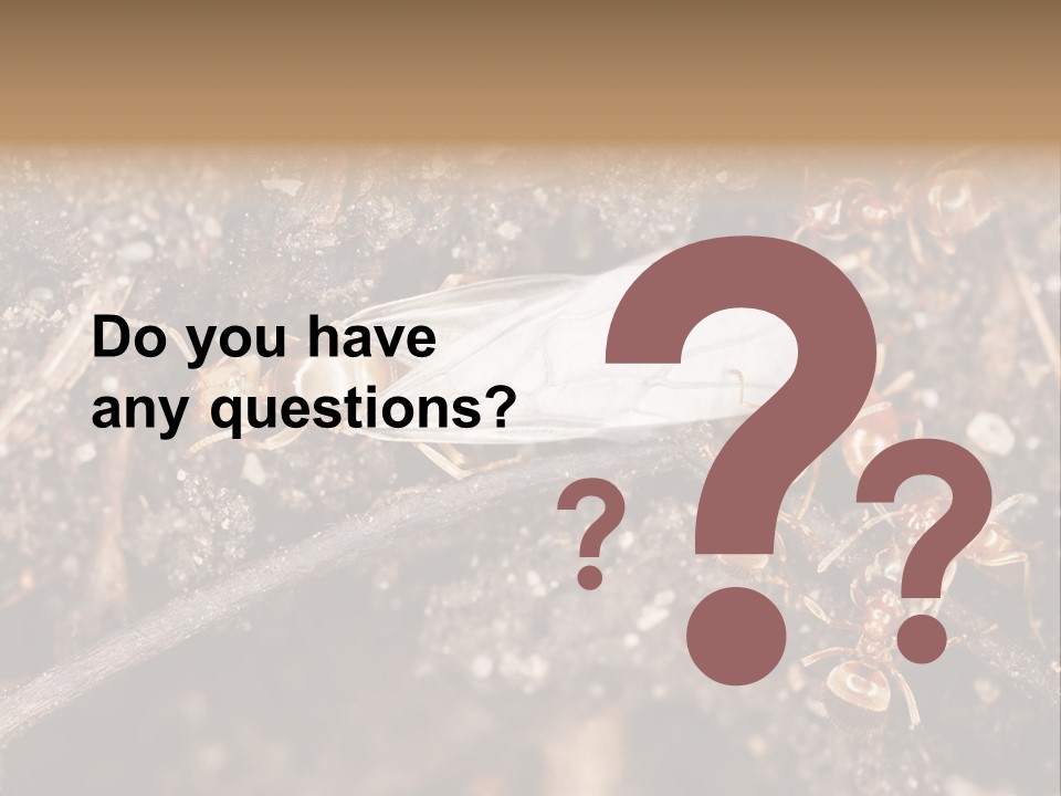 Close To Mould Detail PowerPoint Template