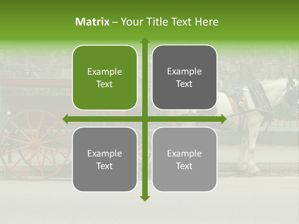 Wild Wild Animal White Background PowerPoint Template