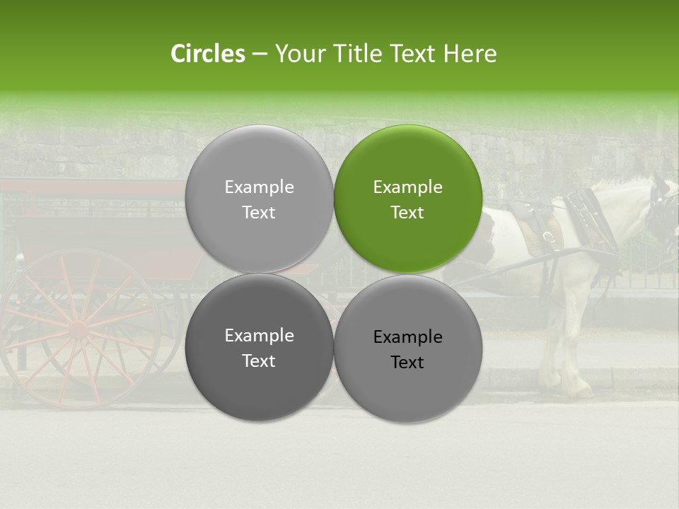 Wild Wild Animal White Background PowerPoint Template