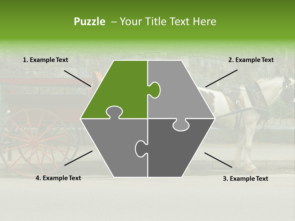 Wild Wild Animal White Background PowerPoint Template