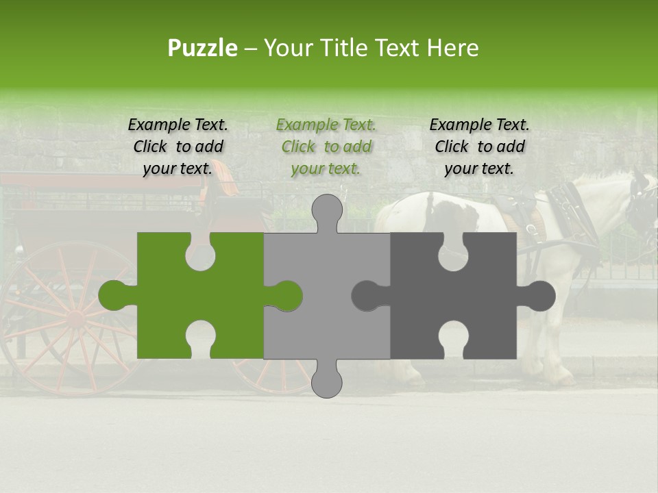 Wild Wild Animal White Background PowerPoint Template