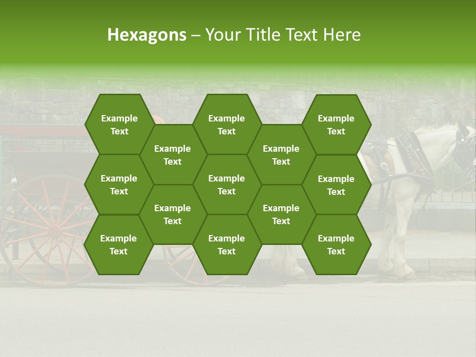 Wild Wild Animal White Background PowerPoint Template