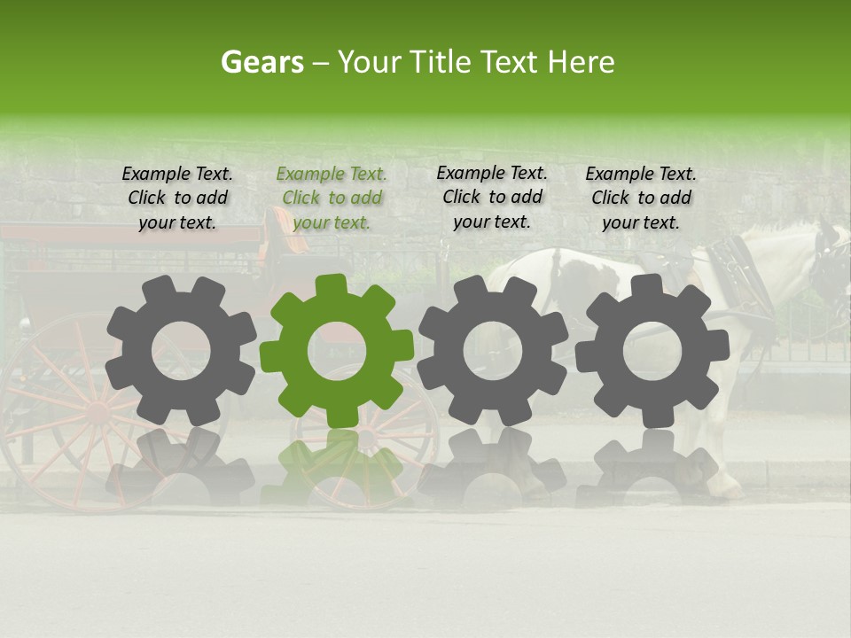 Wild Wild Animal White Background PowerPoint Template