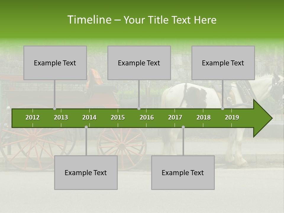 Wild Wild Animal White Background PowerPoint Template