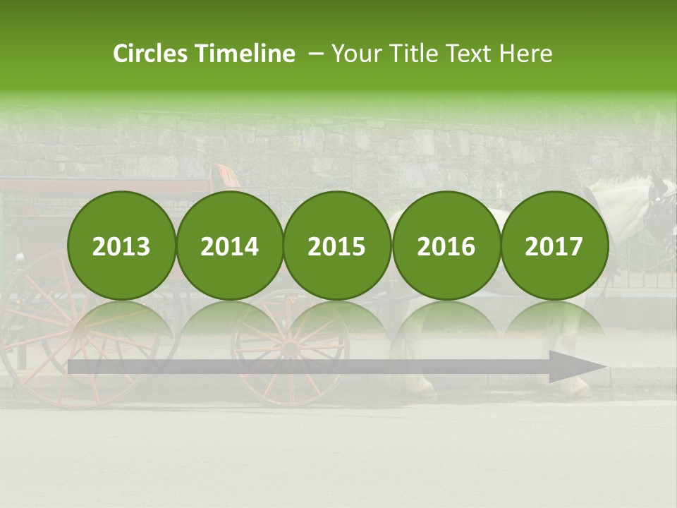 Wild Wild Animal White Background PowerPoint Template