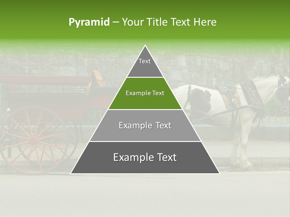 Wild Wild Animal White Background PowerPoint Template