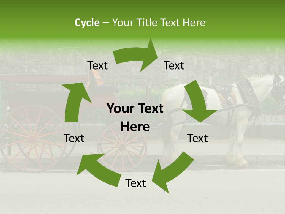 Wild Wild Animal White Background PowerPoint Template