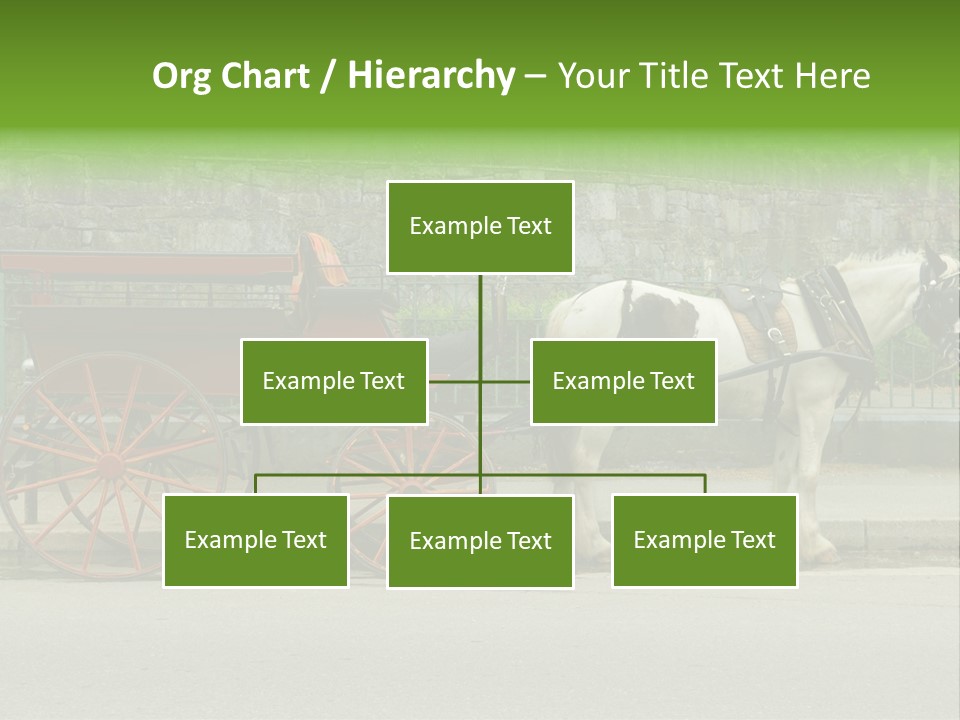 Wild Wild Animal White Background PowerPoint Template