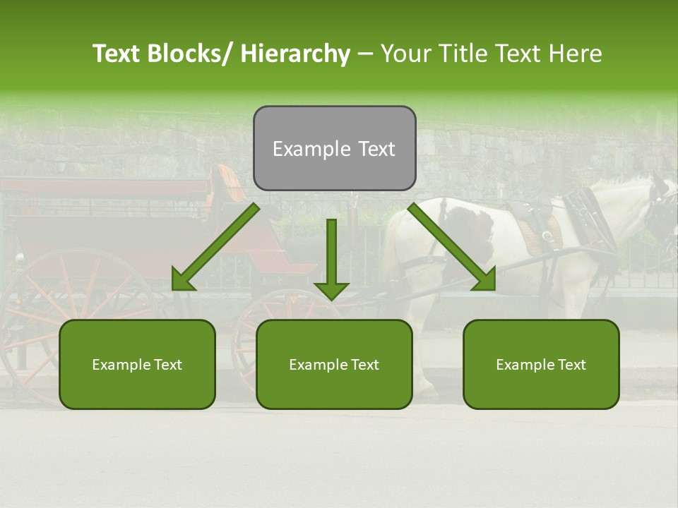 Wild Wild Animal White Background PowerPoint Template