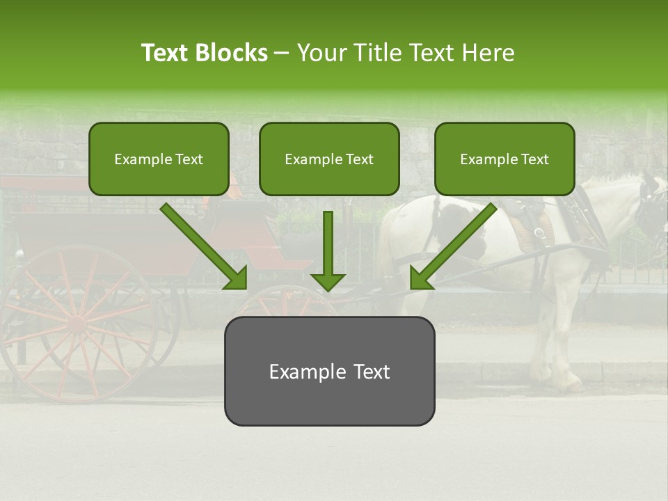 Wild Wild Animal White Background PowerPoint Template