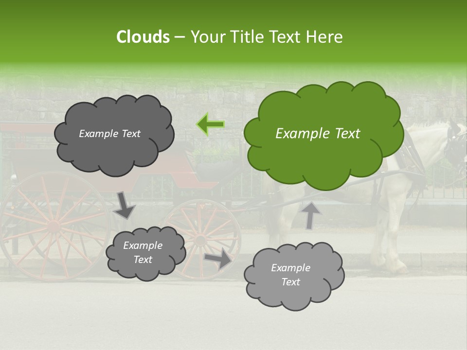 Wild Wild Animal White Background PowerPoint Template