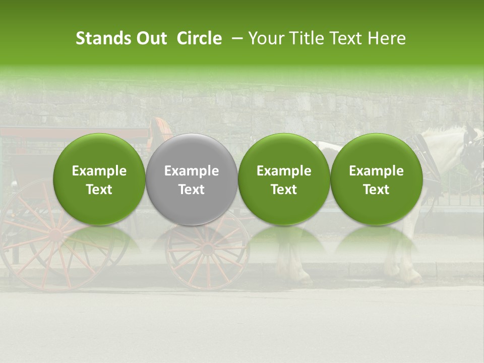 Wild Wild Animal White Background PowerPoint Template